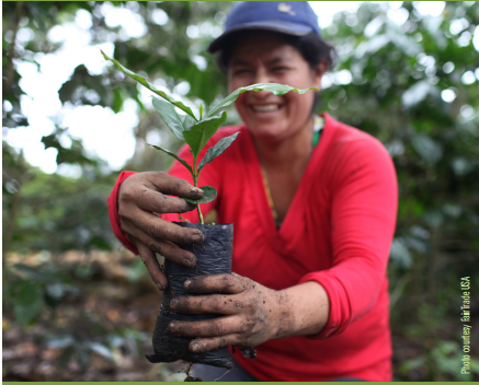 gavina direct impact 58adbc4da75a4