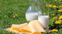 Milk and cheese 58d1749e0042a