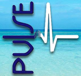 Pulse Beverage 58beefdfaf35f