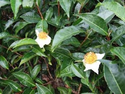 W020170502352199407767 591480c44eccb W020170502352199407767 591480c44eccb