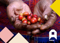 Avance Facebook Graphic 599c48f93b4aa Avance Facebook Graphic 599c48f93b4aa