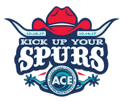 Logo ACE2017 SM 5995ede68b02a