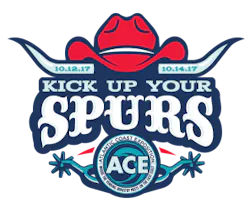 Logo Ace2017 Sm 5995ede68b02a