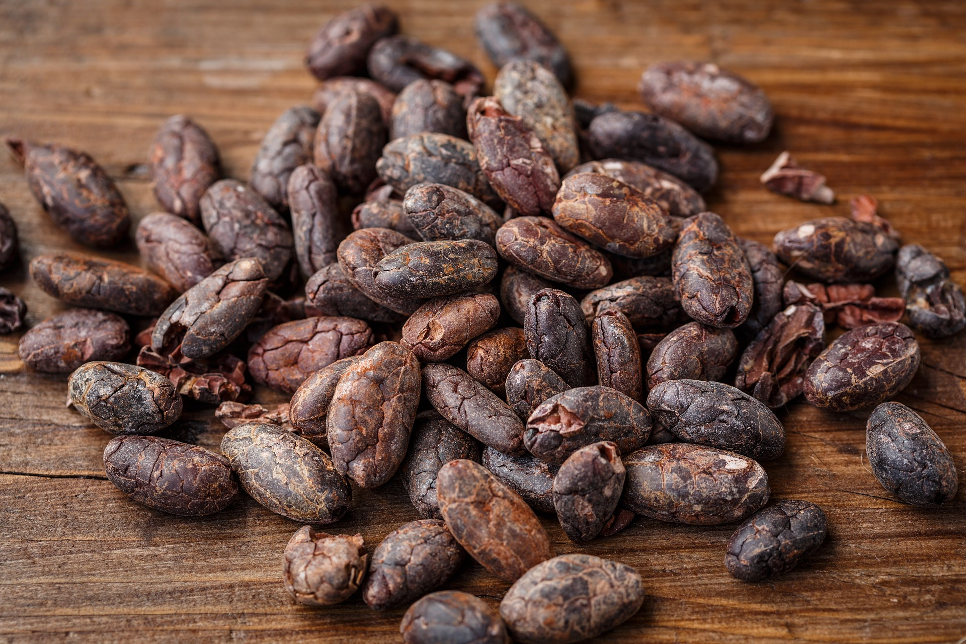 Cacao Bean 2522918 1920 59a050e21bc56