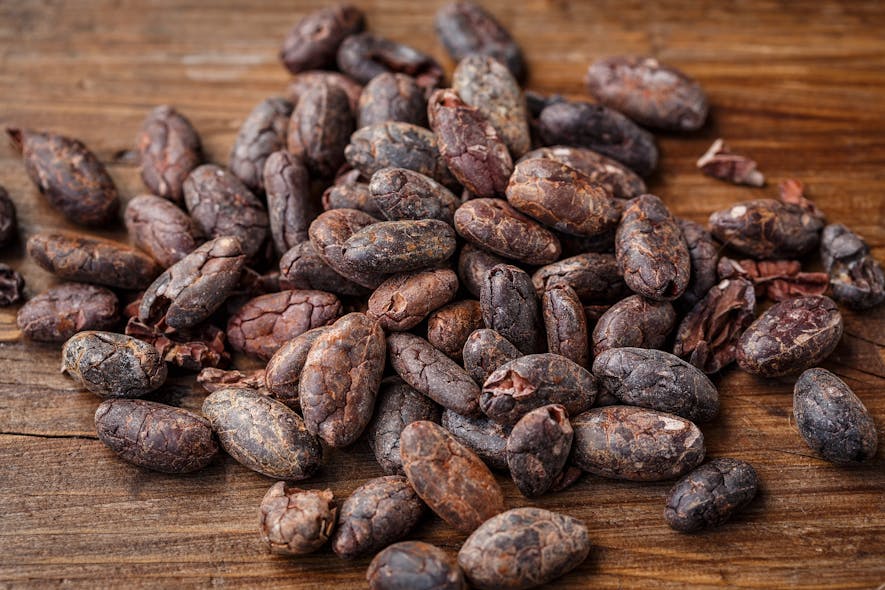 cacao bean 2522918 1920 59a050e21bc56