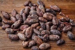 Cacao Bean 2522918 1920 59a050e21bc56 Cacao Bean 2522918 1920 59a050e21bc56