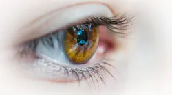 eye 5a0f17fd2bc9a