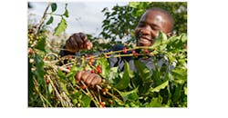 Fairtrade 5a007f95055bd Fairtrade 5a007f95055bd