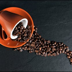 coffeecup coffeebeans 5a4fa53338db7