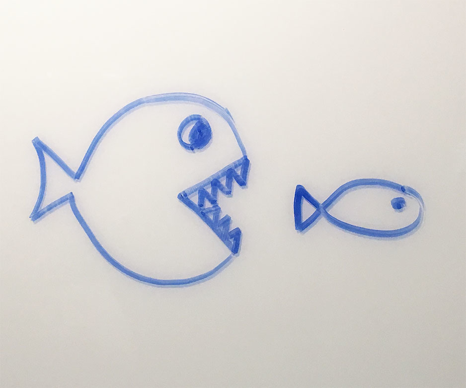 Competition Coming Soon 5aa299bb518ea