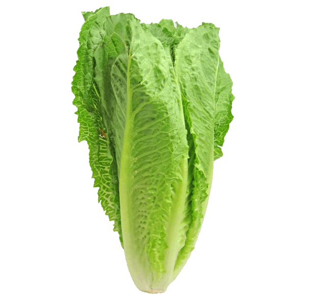 romaine lettuce 2468495 1920 5ade0ba50fd19