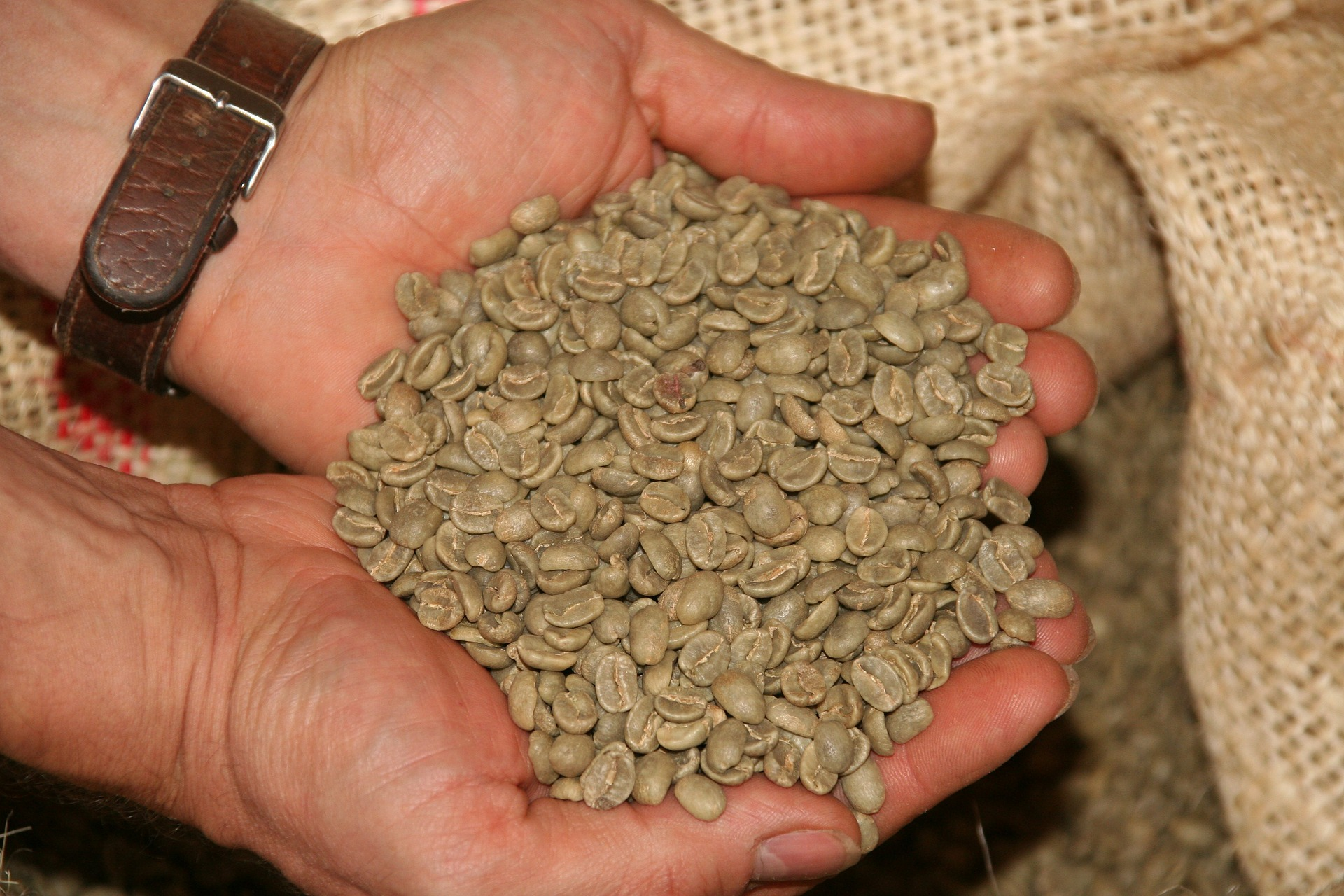 Greencoffeebeans 5b082f899d1b8
