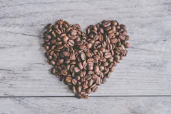Jessica Lewis 562495 Unsplash 5b2d17e176376
