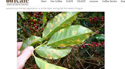 Icafe 5b50afe9f047a