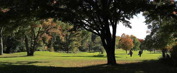 Cva Golfing 5b86d07ad68a3