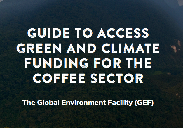 Ico Gef 5b7d88312b581