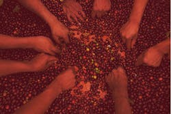 Kenyan Coffee 5b6879ffb8840 Kenyan Coffee 5b6879ffb8840