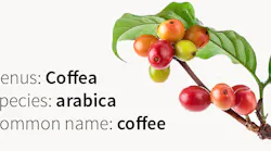 coffeagenome 5ba14f3b49de5