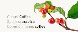 Coffeagenome 5ba14f3b49de5 Coffeagenome 5ba14f3b49de5