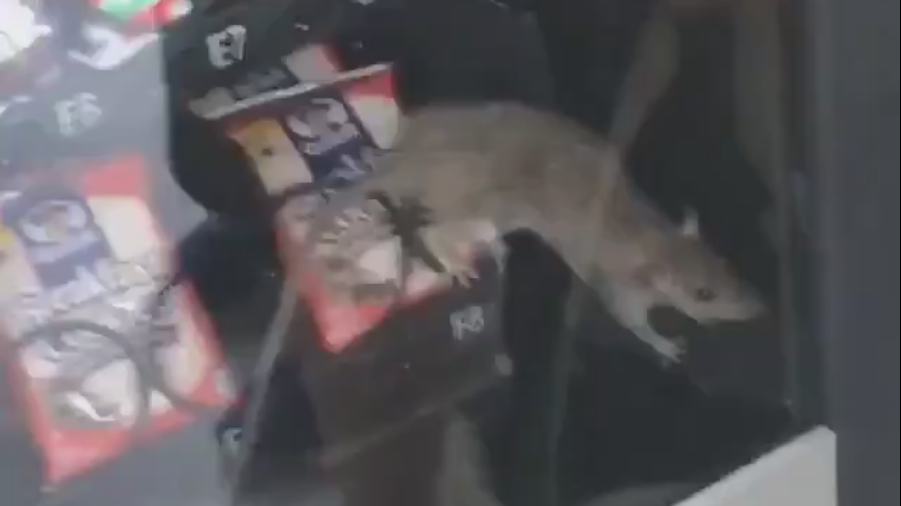 Ratinvendingmachinescreenshot 5c097352e7717