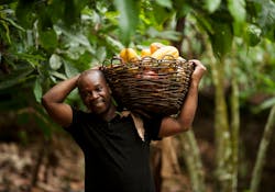 Fortin Bley is an Ivorian cocoa farmer and chairperson of Fairtrade Africa’s West African Network Fortin Bley is an Ivorian cocoa farmer and chairperson of Fairtrade Africa’s West African Network