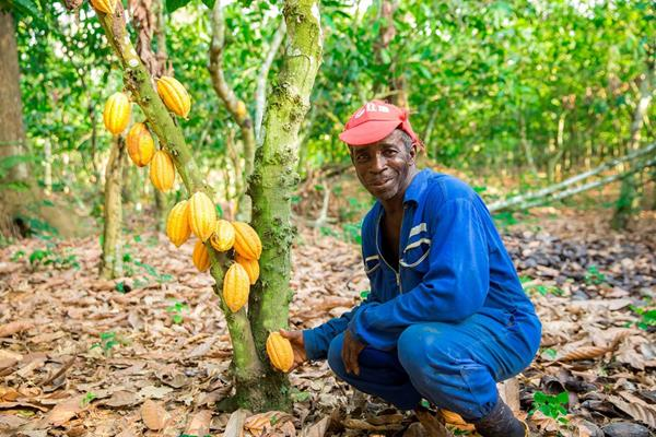 The Hershey Company today announced a package of environmental initiatives and commitments that will further strengthen how the company operates, creating a positive social impact from farm to finished product.