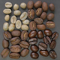 Nousnou Iwasaki 45718 Unsplash 5c634133b42b9 Nousnou Iwasaki 45718 Unsplash 5c634133b42b9