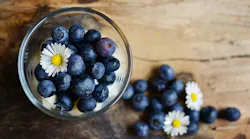 Blueberries 2278921 960 720 Pixabay