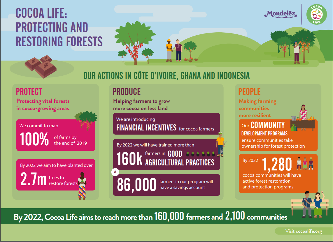 Cocoa Life Infographic