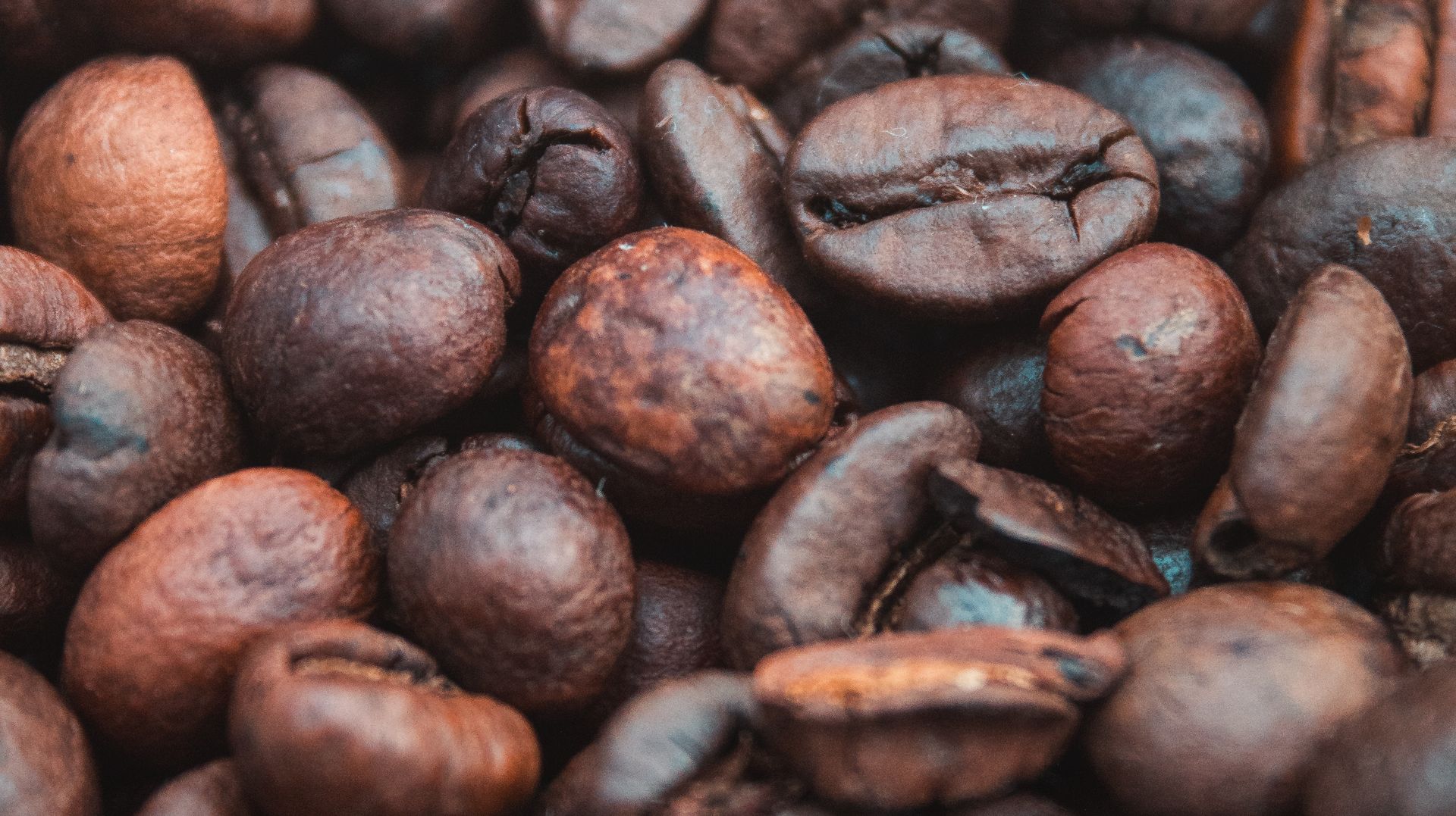 Estela Shaddix 710197 Unsplash