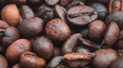 Estela Shaddix 710197 Unsplash