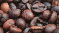 Estela Shaddix 710197 Unsplash 5ce573a62e1eb