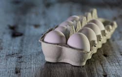 Eggs 3183410 1920 5cd5a70670d69 Eggs 3183410 1920 5cd5a70670d69