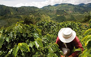 Rosario Article 5ceea8266f39d