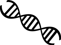 Dna 718905 1920 5d9e039f53f94 Dna 718905 1920 5d9e039f53f94