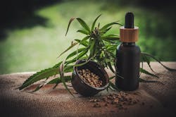 Cbd 4474903 1920 5ddea2b56e1df Cbd 4474903 1920 5ddea2b56e1df