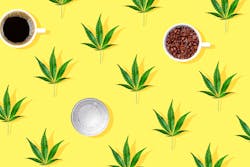 Dreamstime Xxl 155726822 1 5e5934b5717ef Dreamstime Xxl 155726822 1 5e5934b5717ef