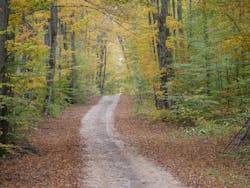 Nature 3806035 1920 5e99c9308e6f6 Nature 3806035 1920 5e99c9308e6f6