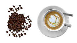 Coffee 1572741 1920 Coffee 1572741 1920