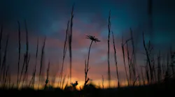 Sunrise 1983740 1920