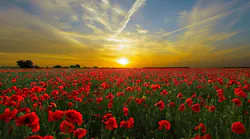Sunset 815270 1920