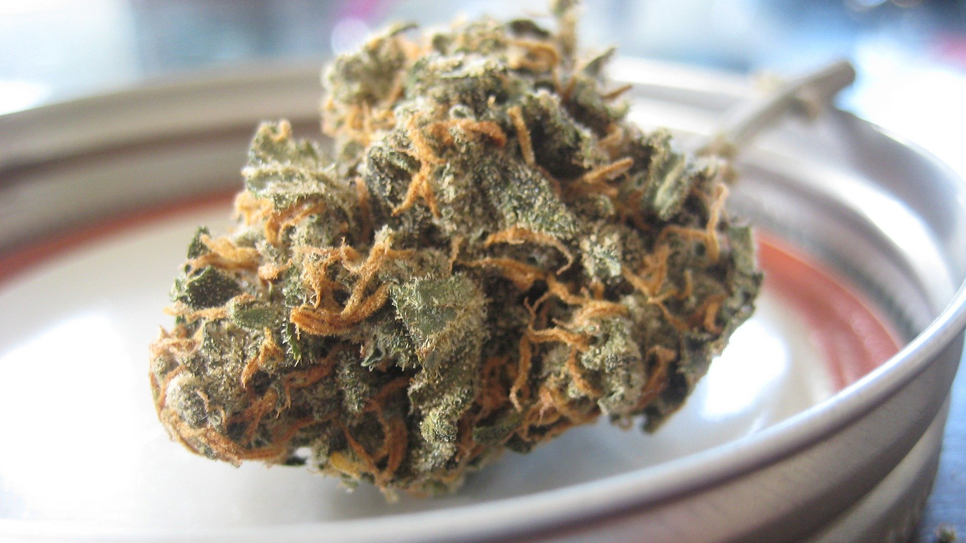 Flowers 2469212 1920 5f8ef741cd922