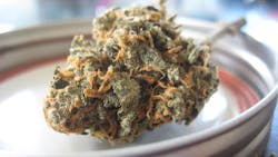 Flowers 2469212 1920 5f8ef741cd922 Flowers 2469212 1920 5f8ef741cd922