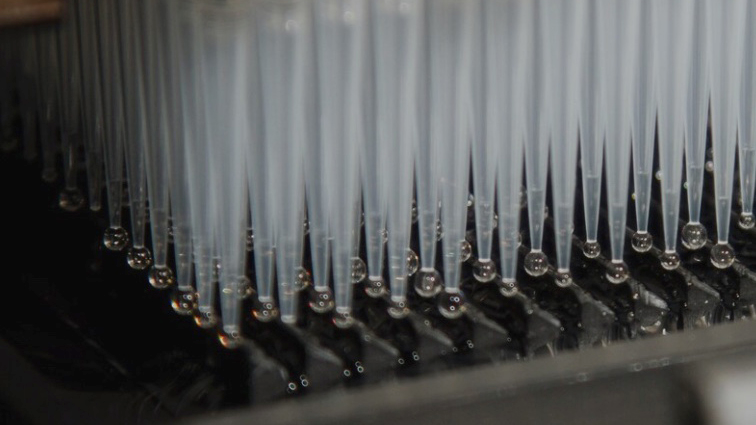 Testing For America Art1 6033a92345544