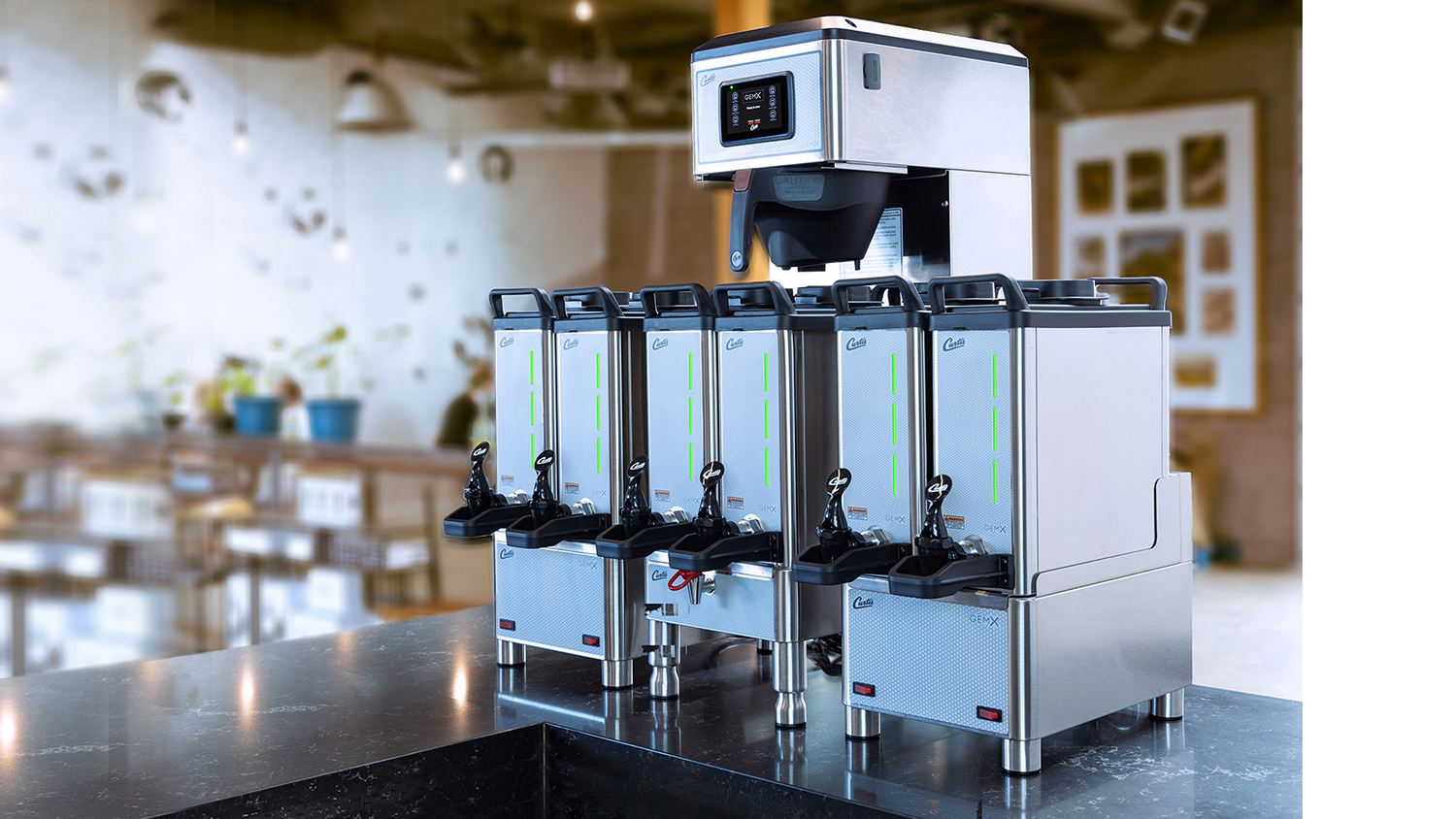 Curtis Gem X Narrow 602691e0c8011