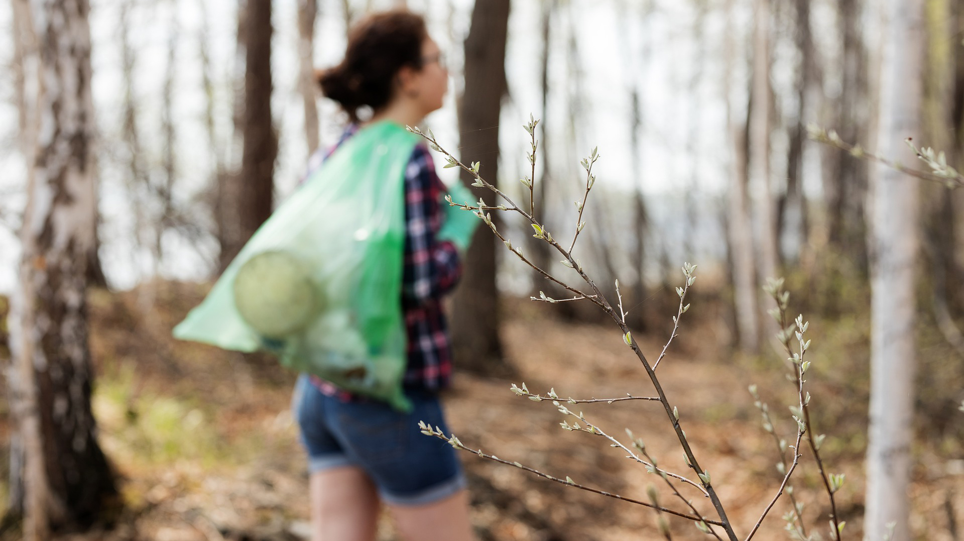 Nature 4202733 1920 60423f0ea8ca2