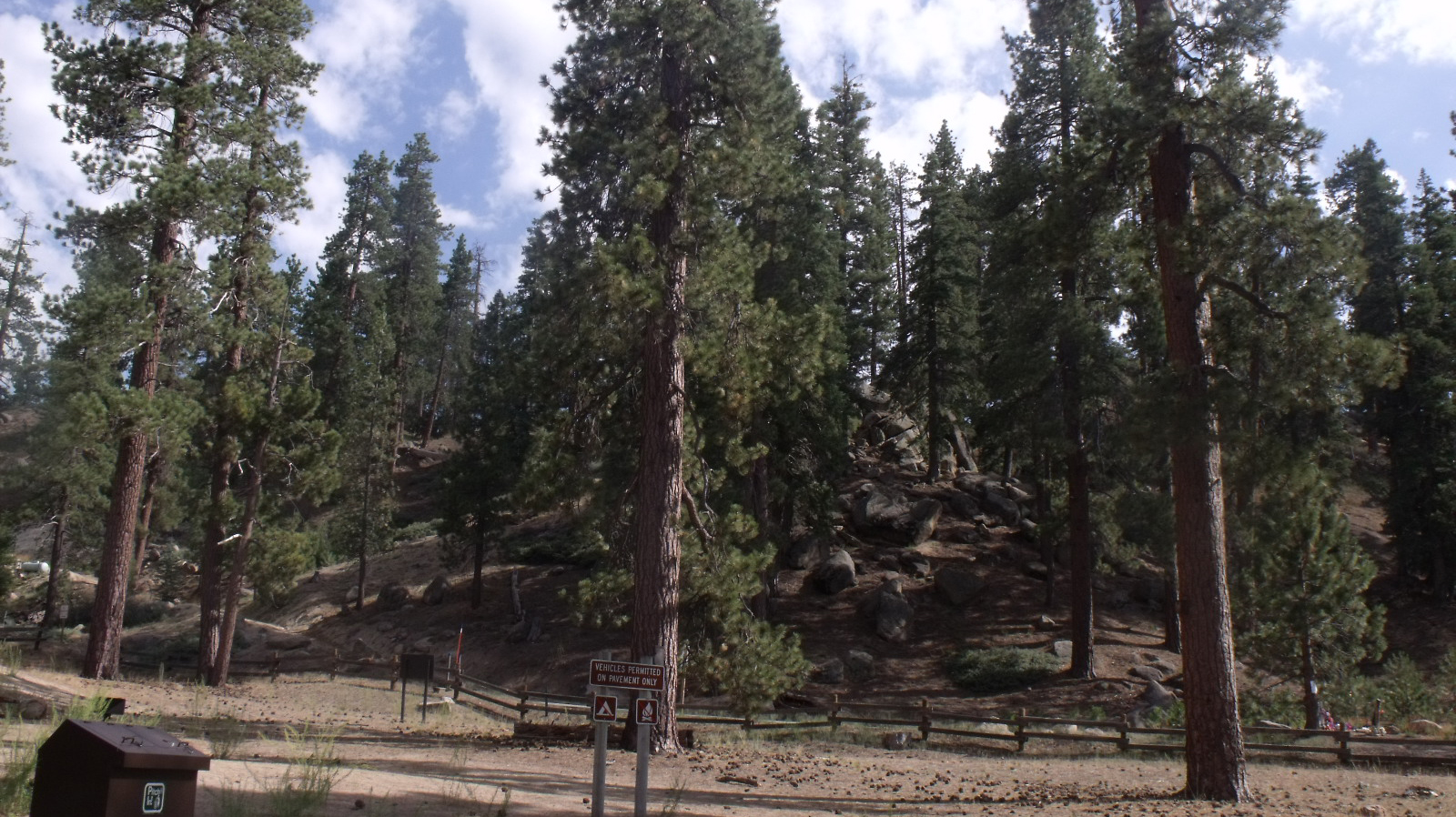 Scottthezombie Pine Trees In Big Bear Sbnf 6086e0c6e4537