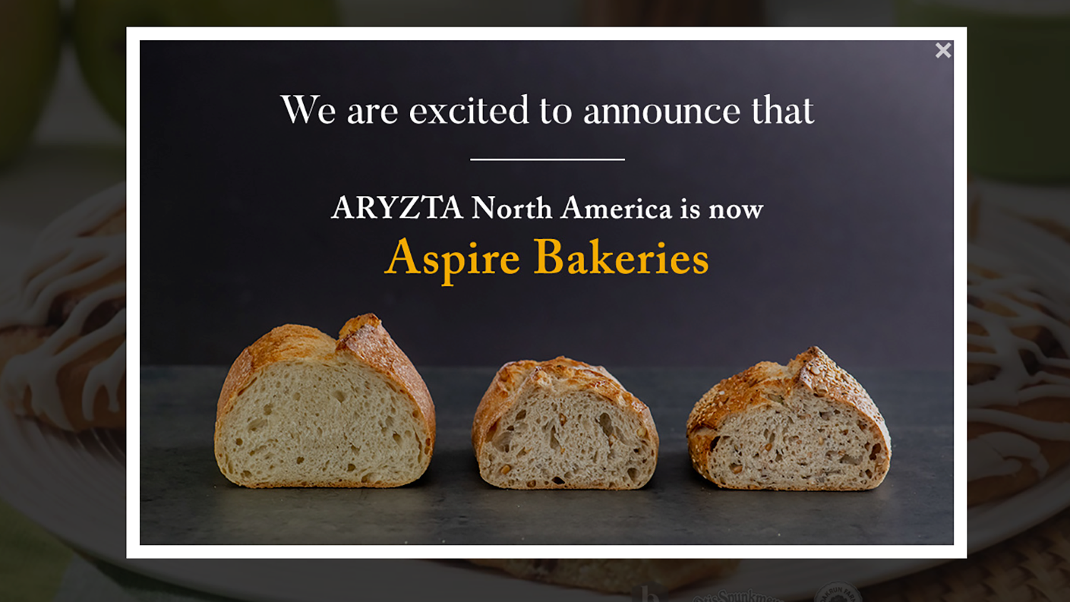 Aspire Bakeries Block Banner 60acf4ba1de2a