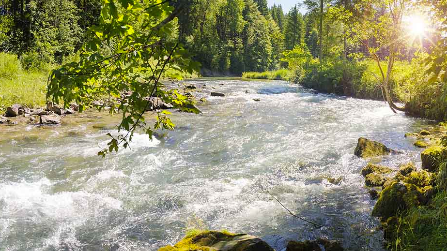 Nestle Water Pledge Hero 60db2058ba360