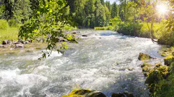 Nestle Water Pledge Hero